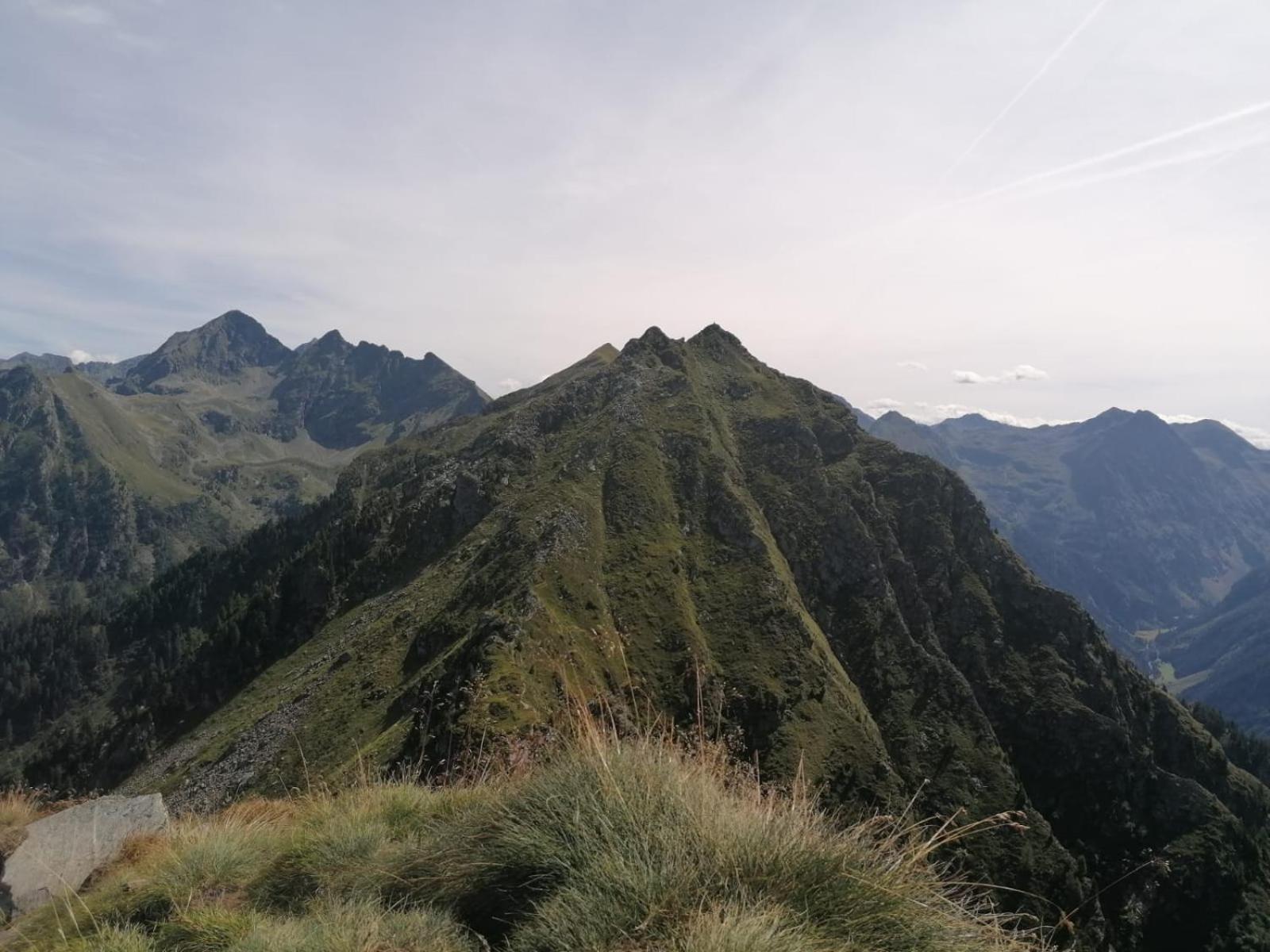 Appartementhaus Alma المظهر الخارجي الصورة
